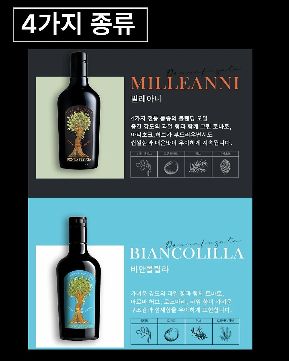 감비정 9