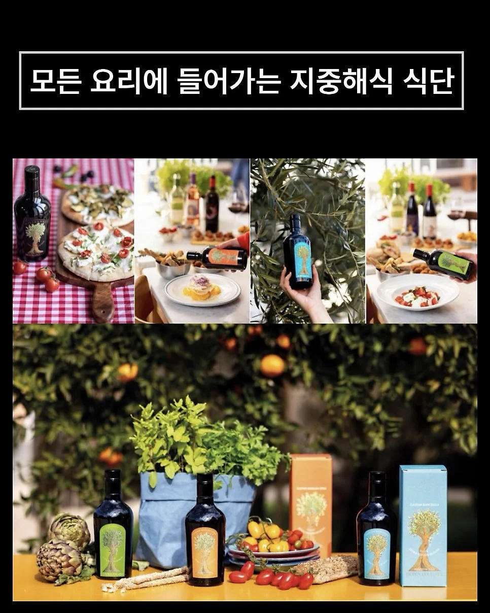 감비정 10