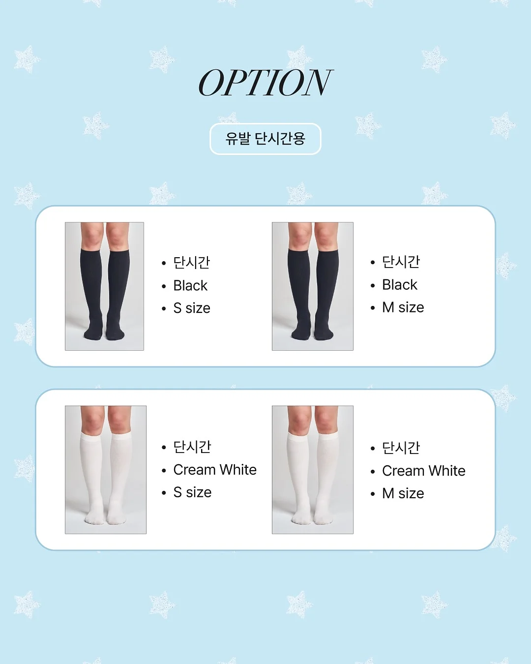 4등급 합격 학과 총정리 13