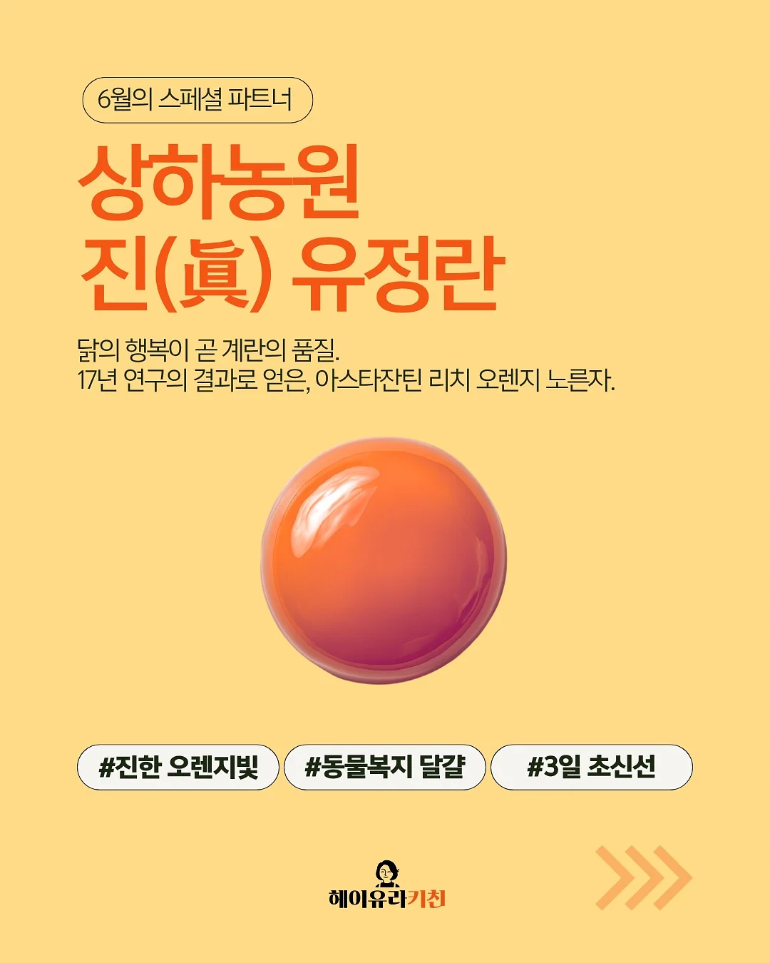 하루비움 다이어트 2