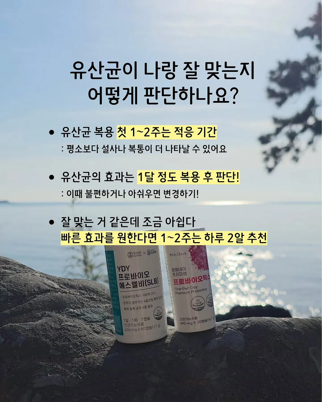 Hermes 오픈소스 AI 비서 8