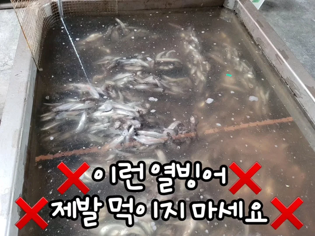 네이처캔 WPC 웨이 프로틴 말차맛 1