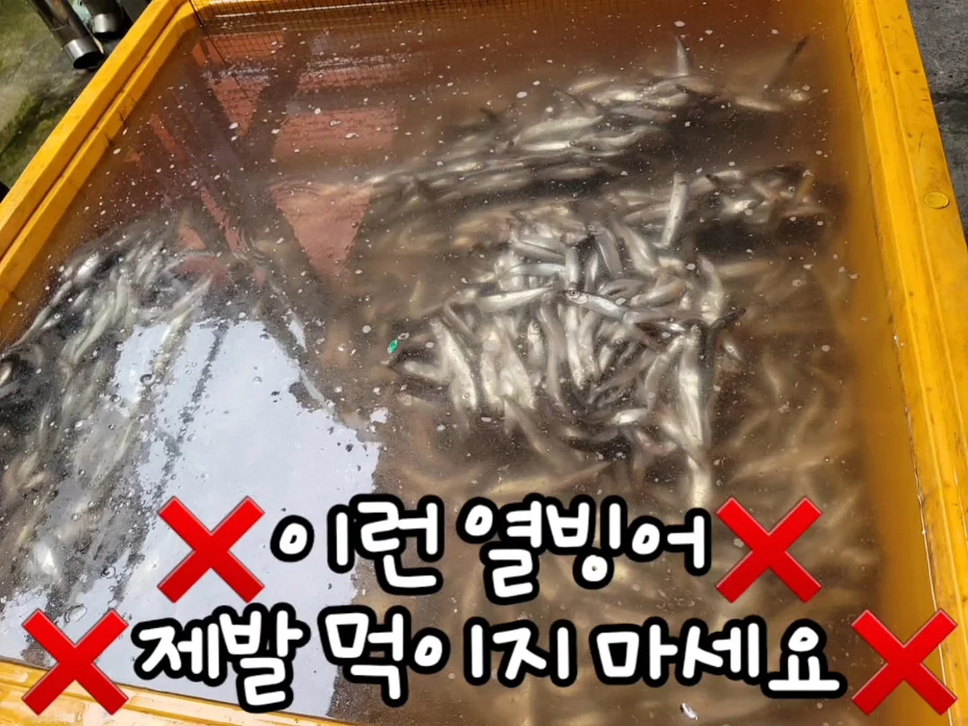 네이처캔 WPC 웨이 프로틴 말차맛 2