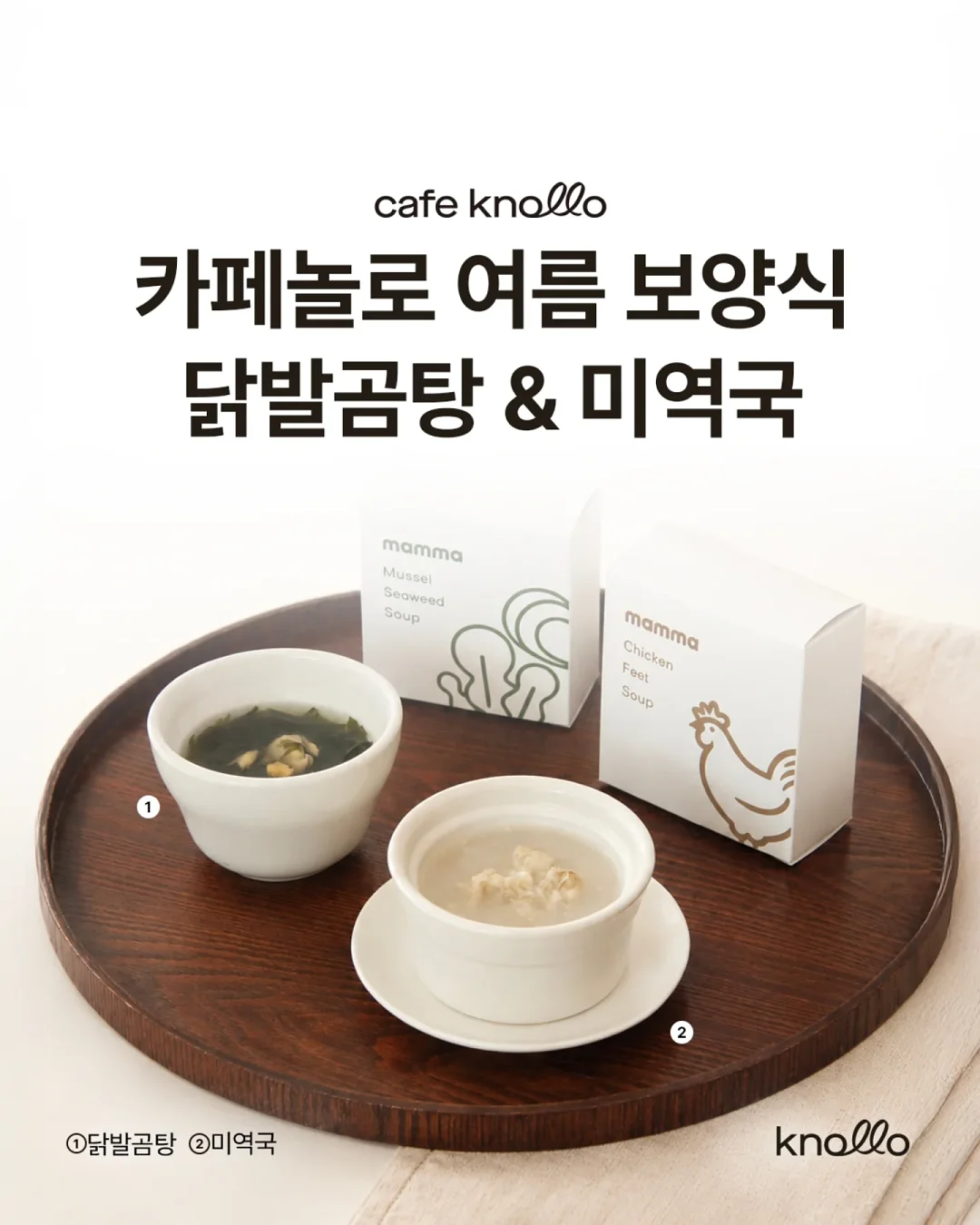 마법기사 레이어스 원화집