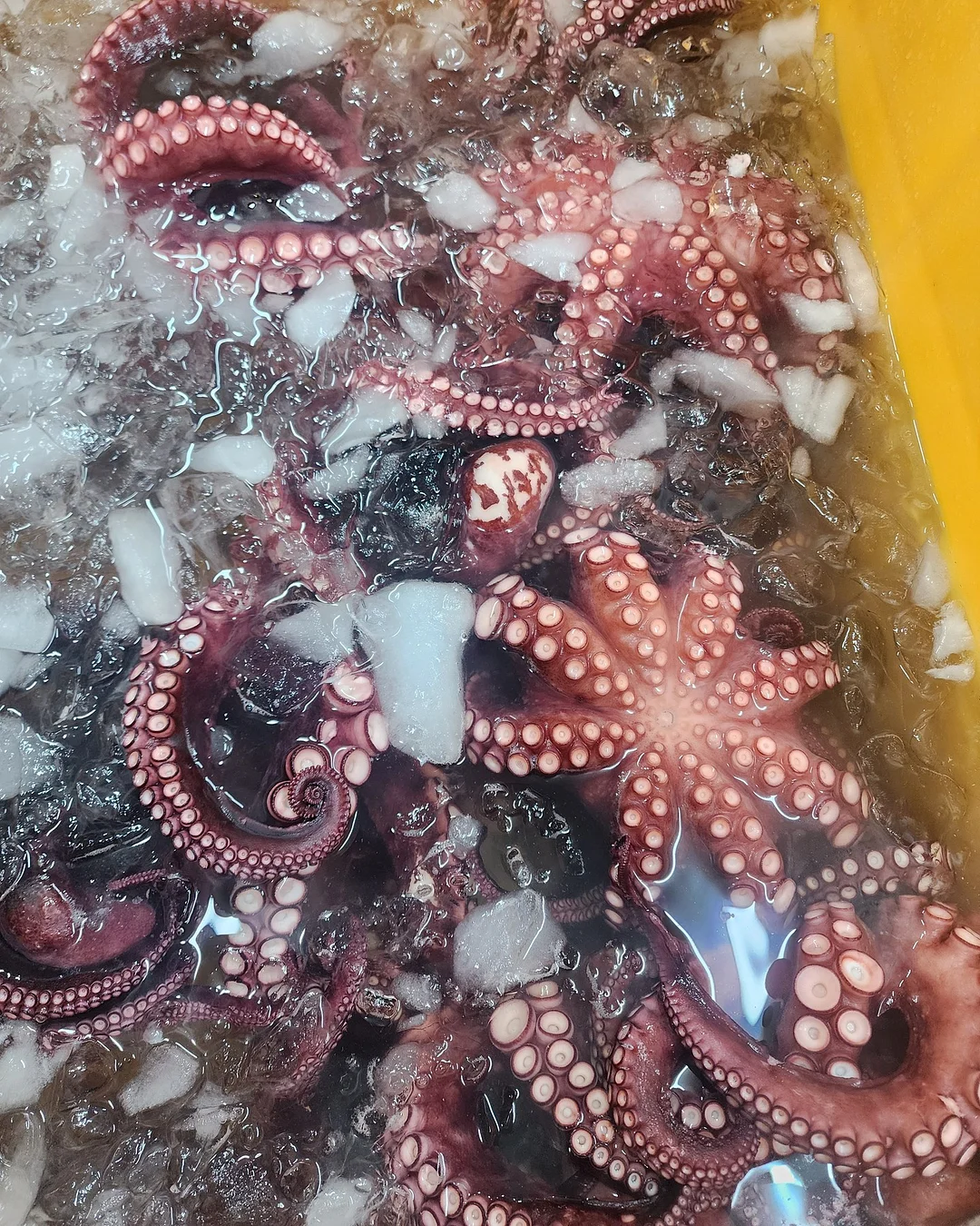 빈티지 리바이스 블랙진 2