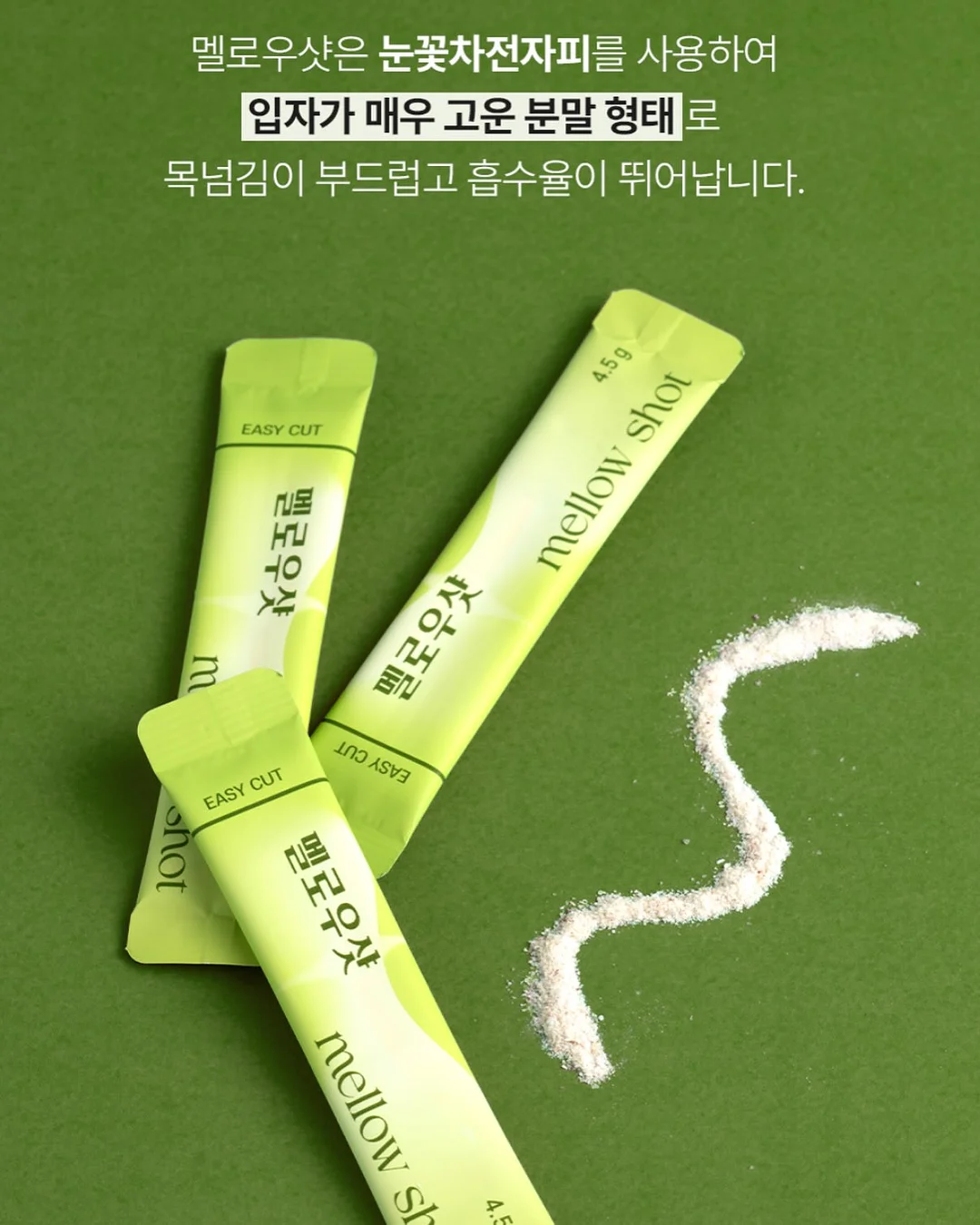 목련꽃 파이 12