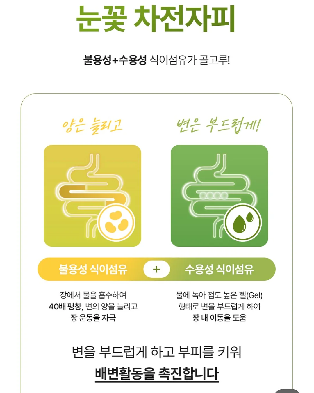 목련꽃 파이 13
