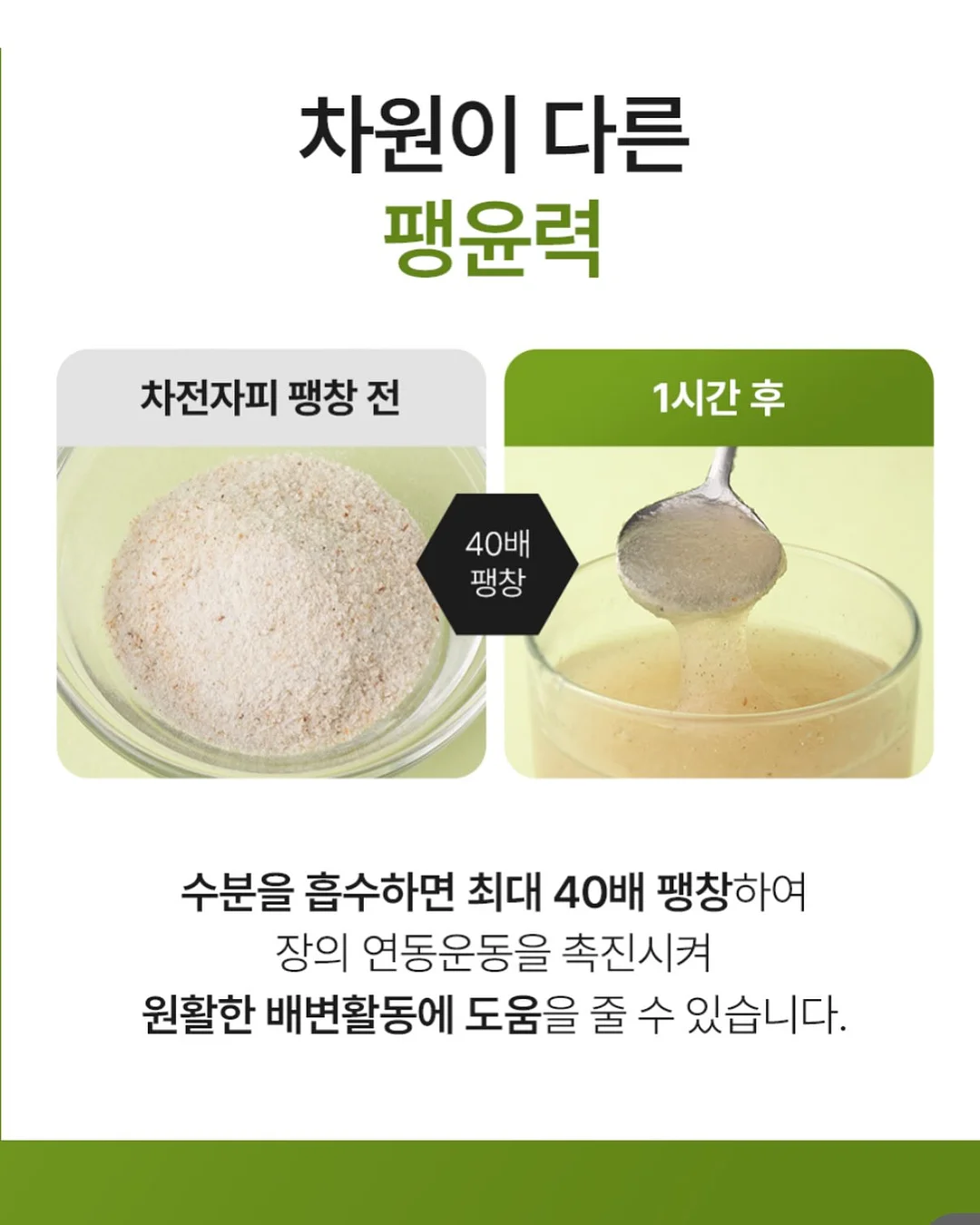 목련꽃 파이 14