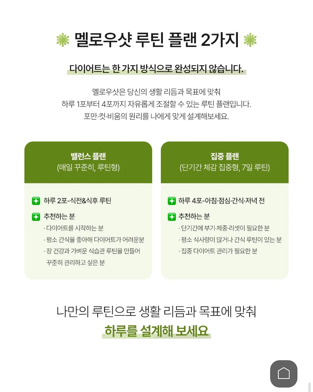 목련꽃 파이 17
