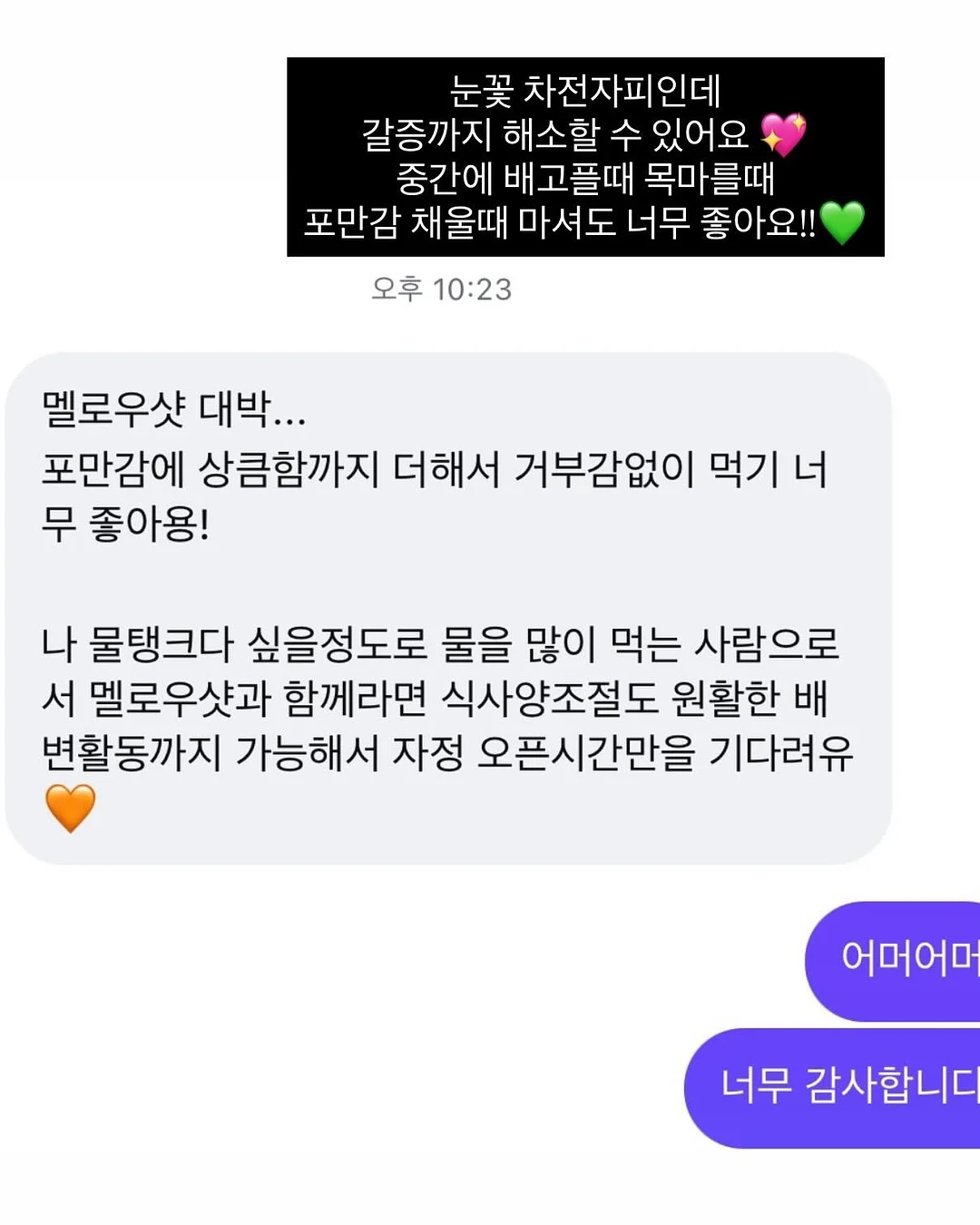 목련꽃 파이 4