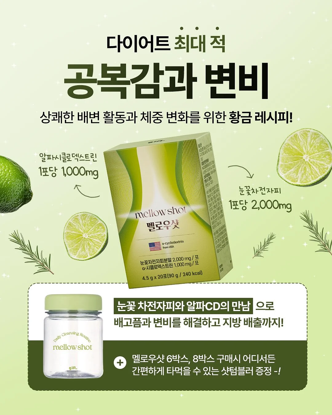 목련꽃 파이 9