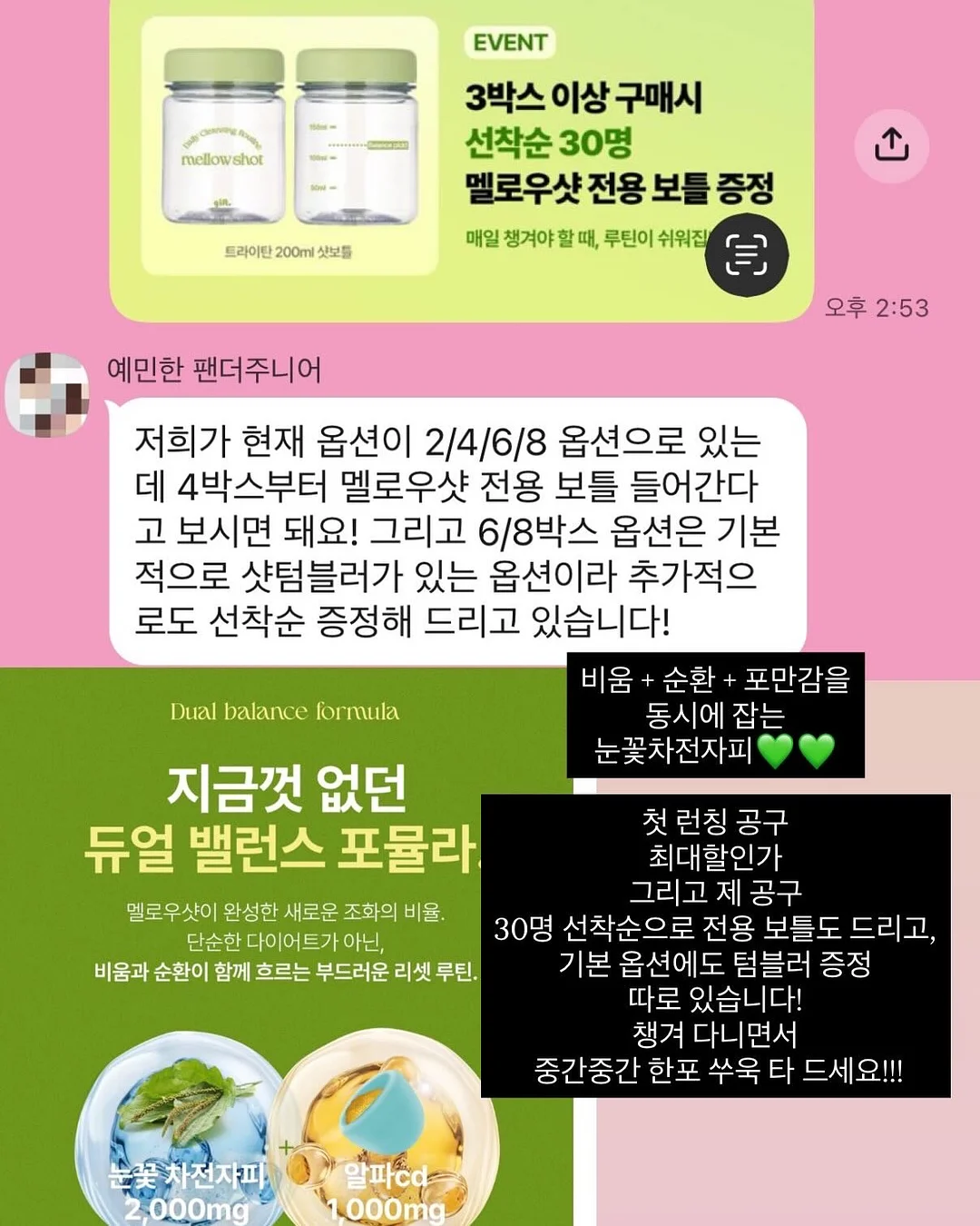 목련꽃 파이 10
