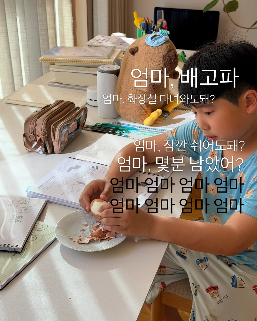 아크테릭스 백팩 2