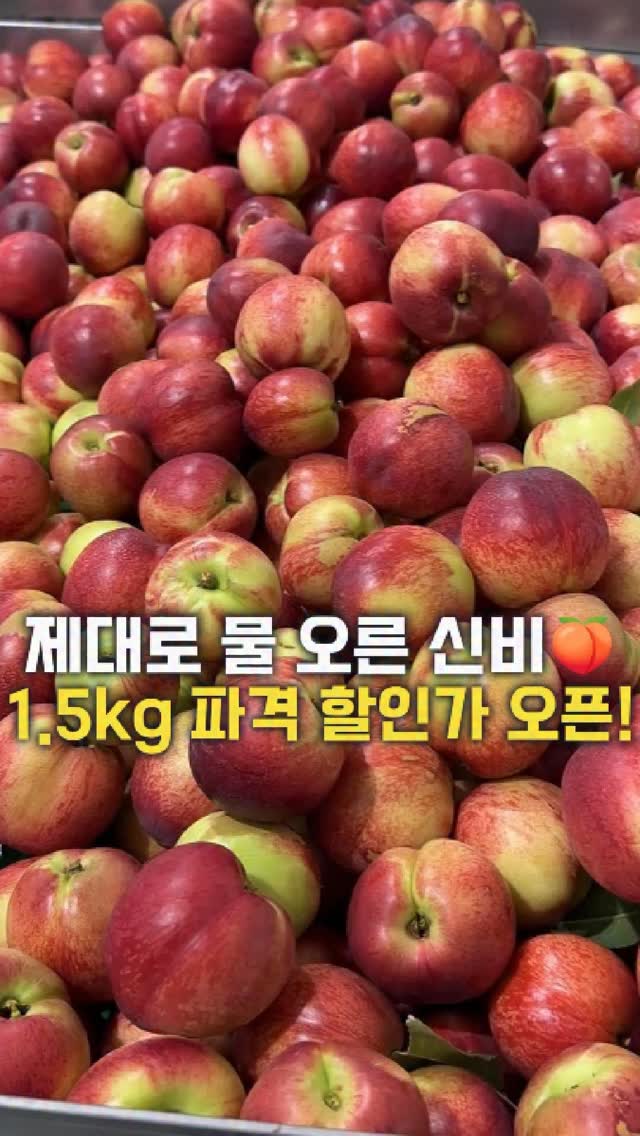 유니클로 감사제