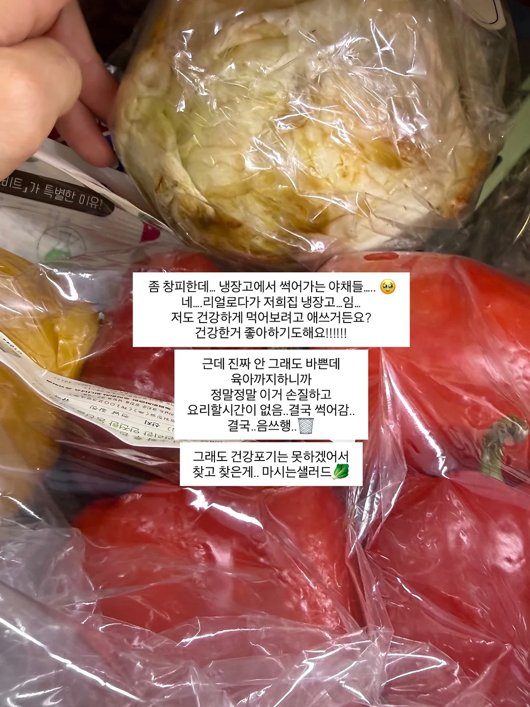 모자 클립 4