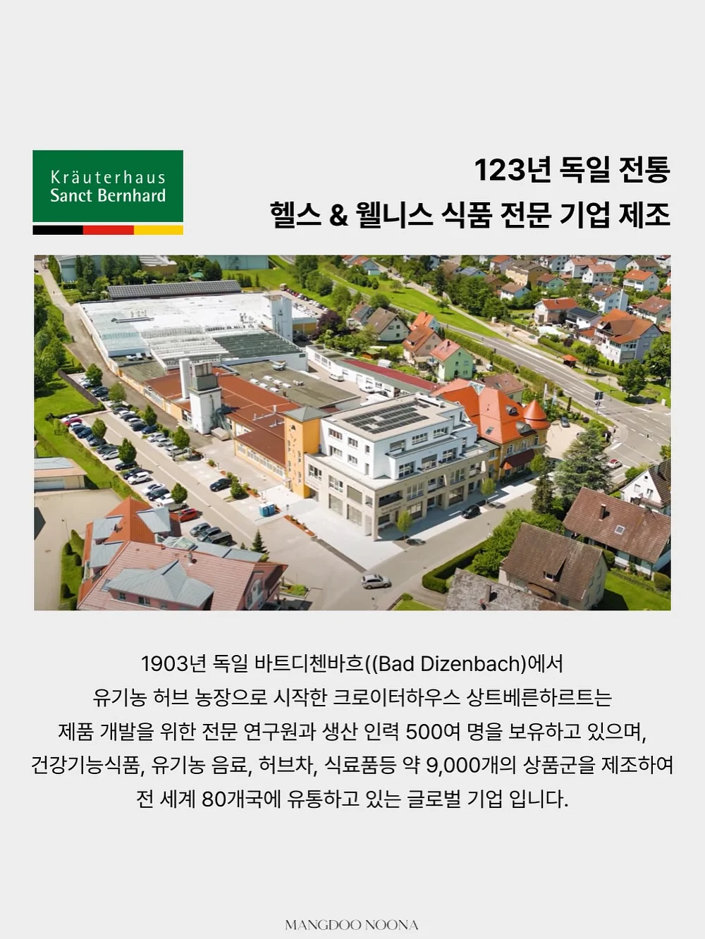 테네라 숄더 백 6