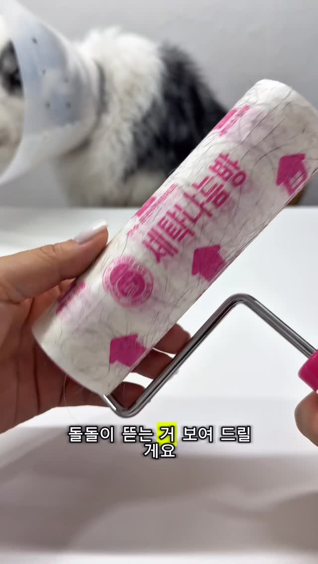 방수 우산 파우치
