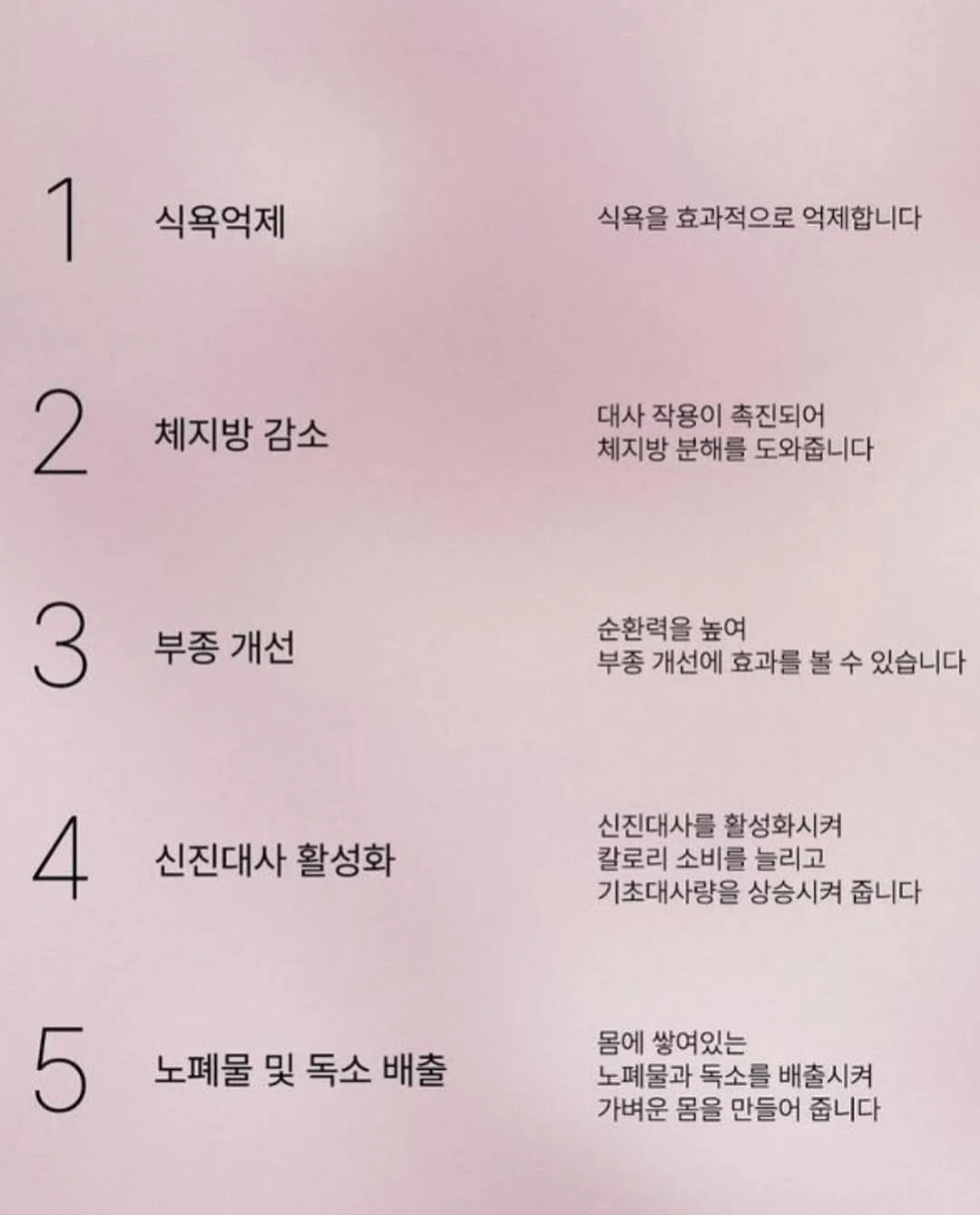 블리스 골드망고 15
