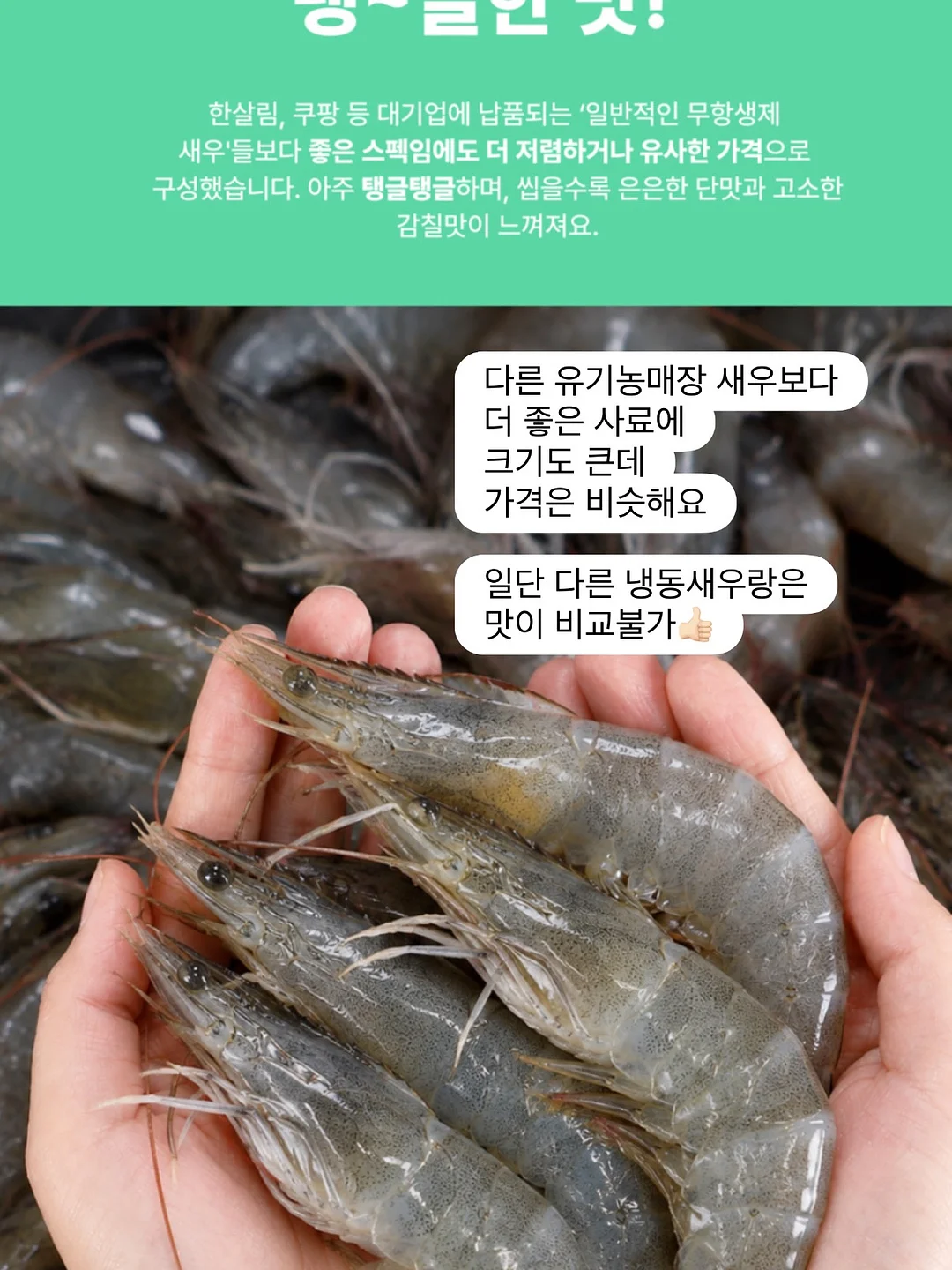 유아 데님 6
