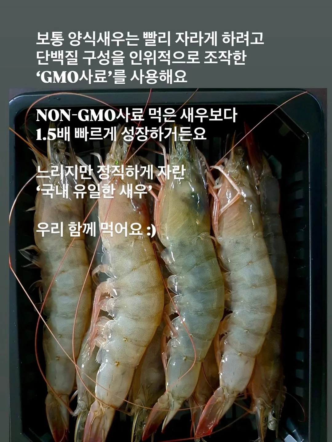 유아 데님 8