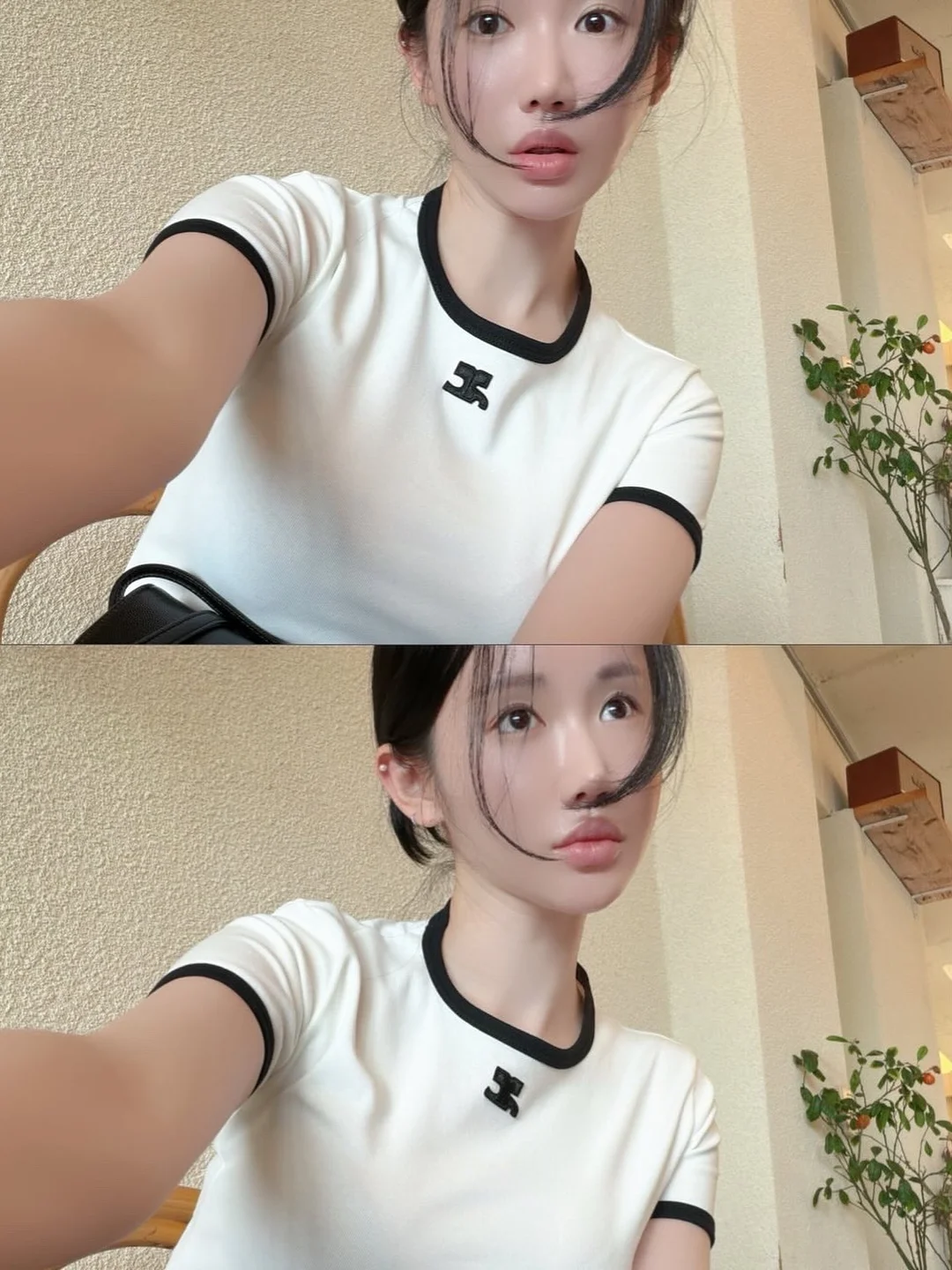 반떼 콩알금 2