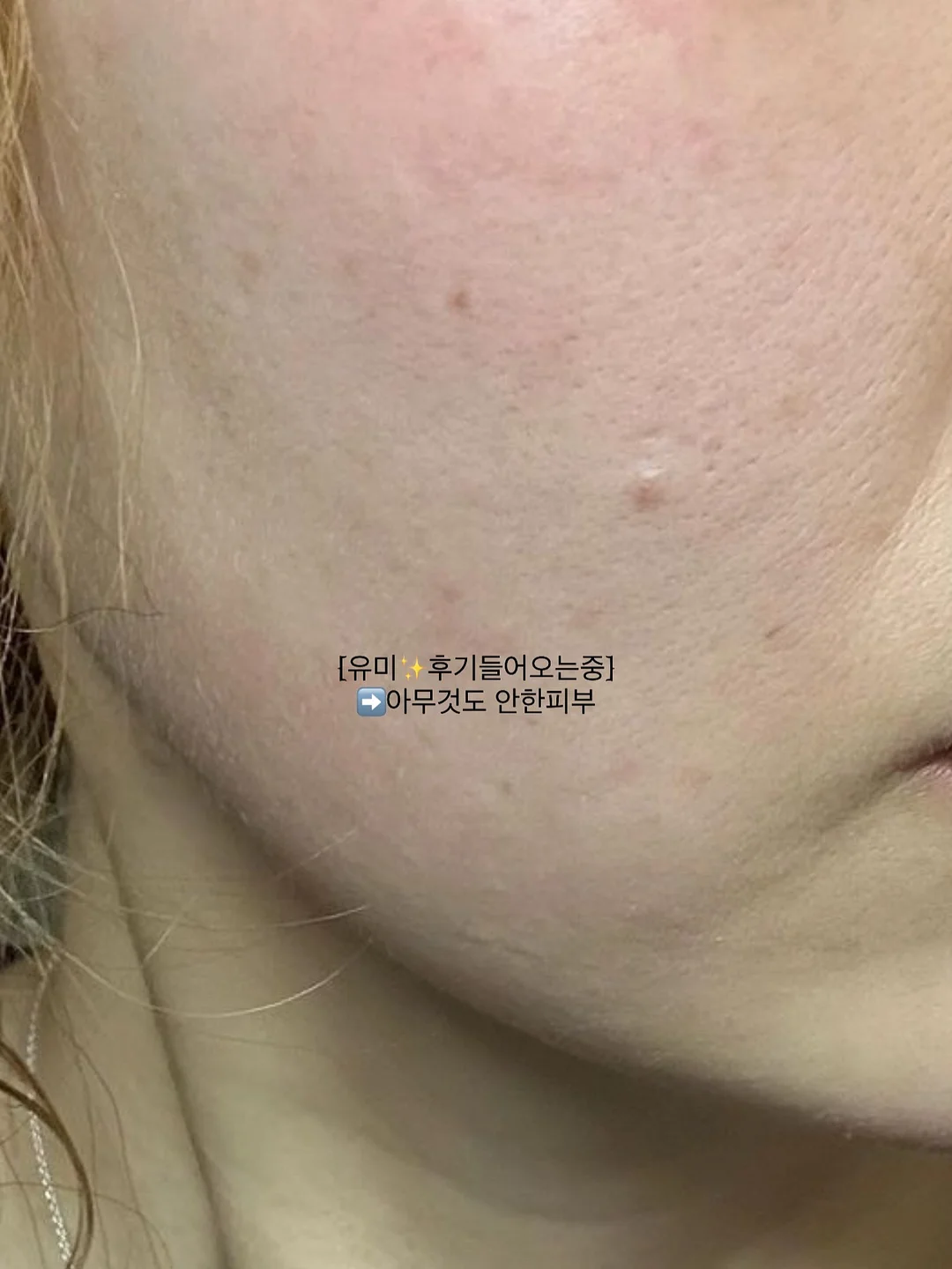 난각번호 1번 무항생제 유정란 3