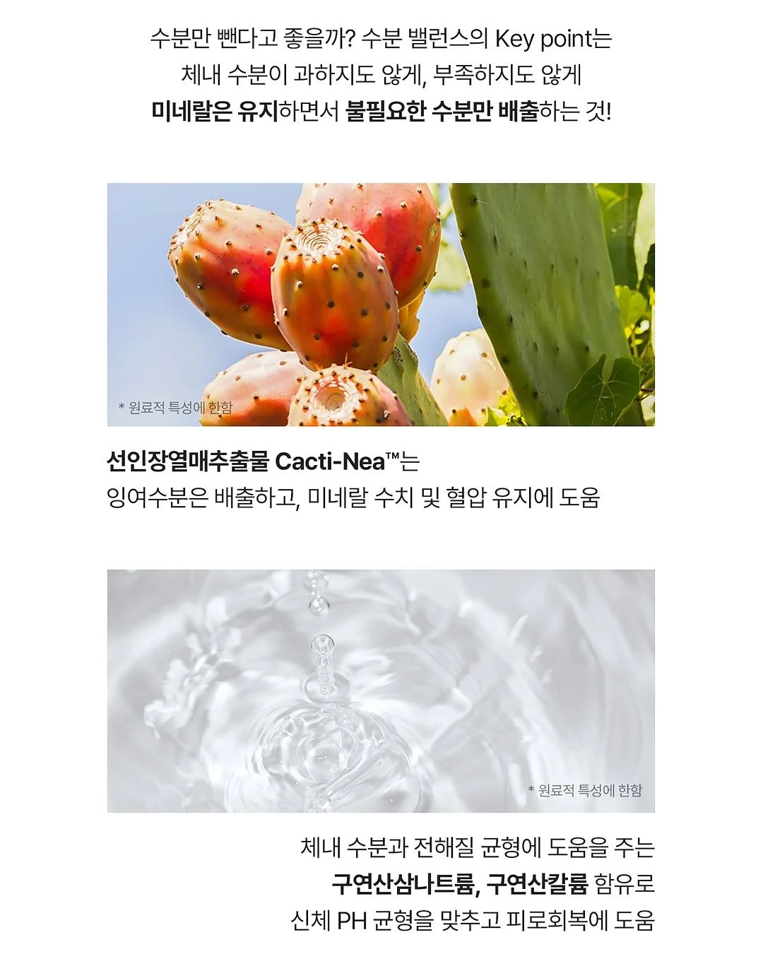 자연눈썹 7