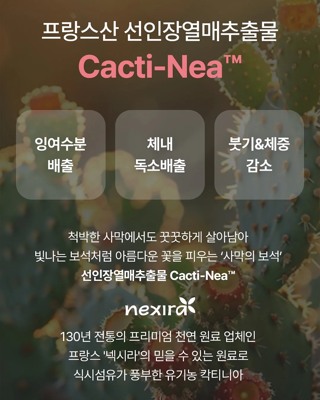 자연눈썹 8
