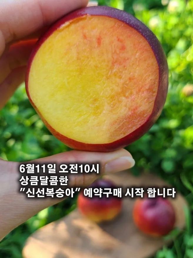 산마늘 버터 2