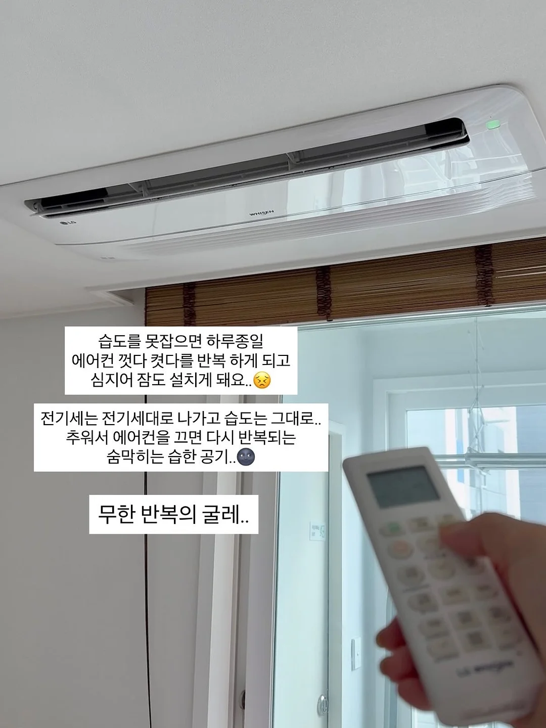 플리츠 랩 bl 10