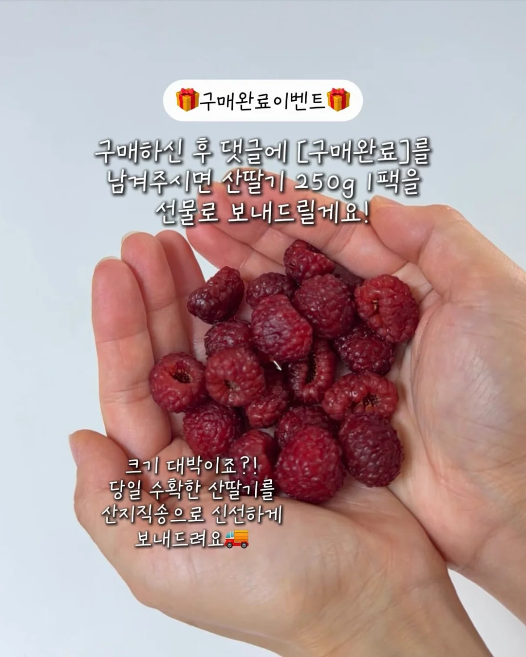 신발 커버 2