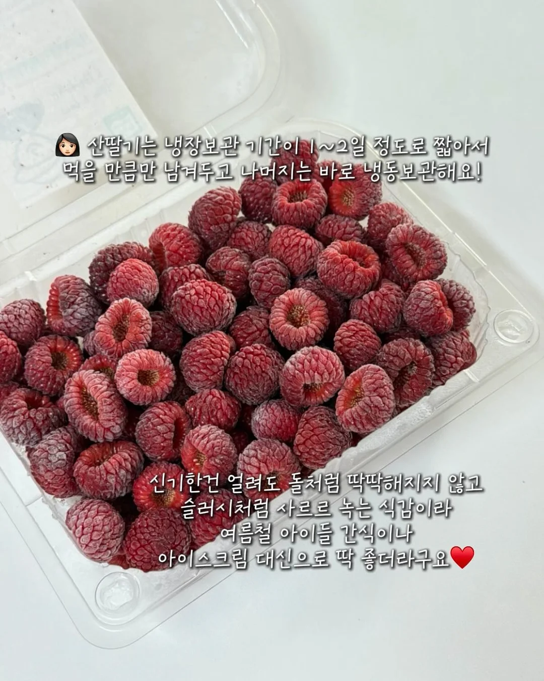 신발 커버 7