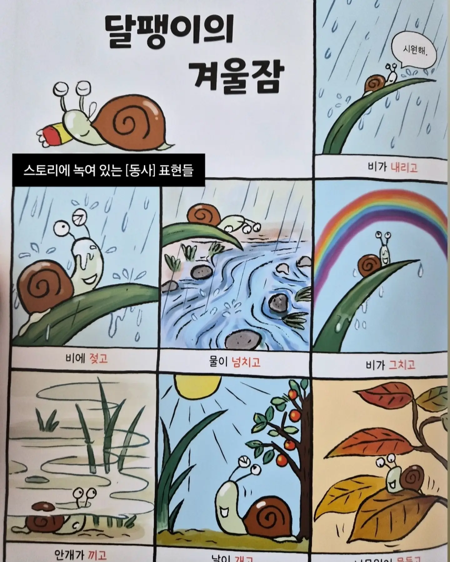어버이날 케이크 4