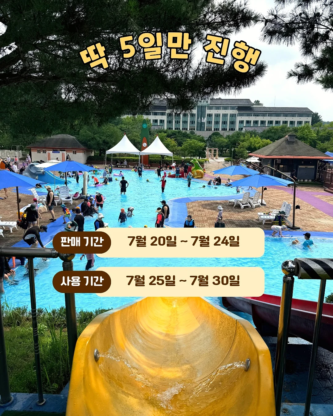 데일리백 2