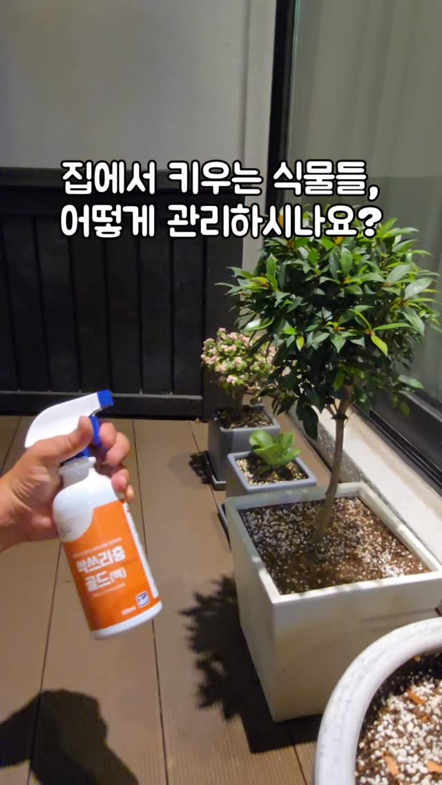 모이사나이트