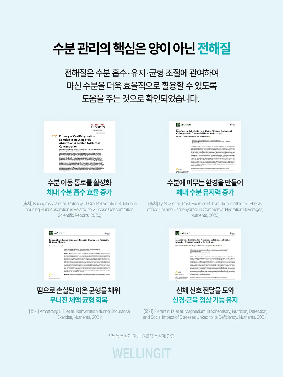 자충에어매트 5