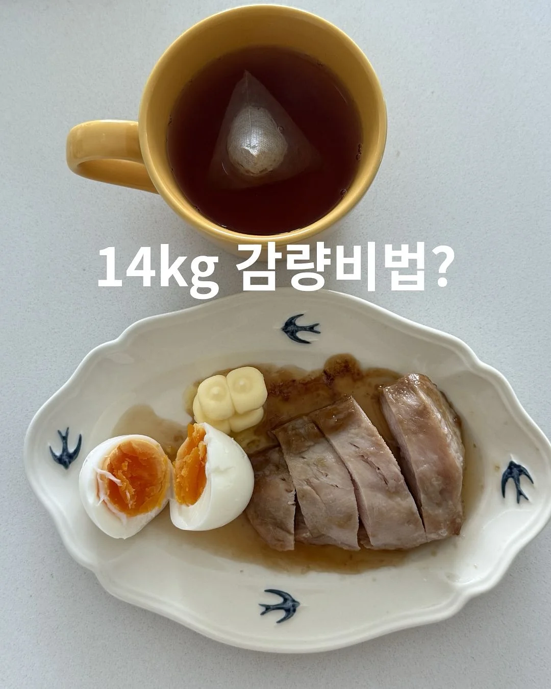수영복 비키니 1