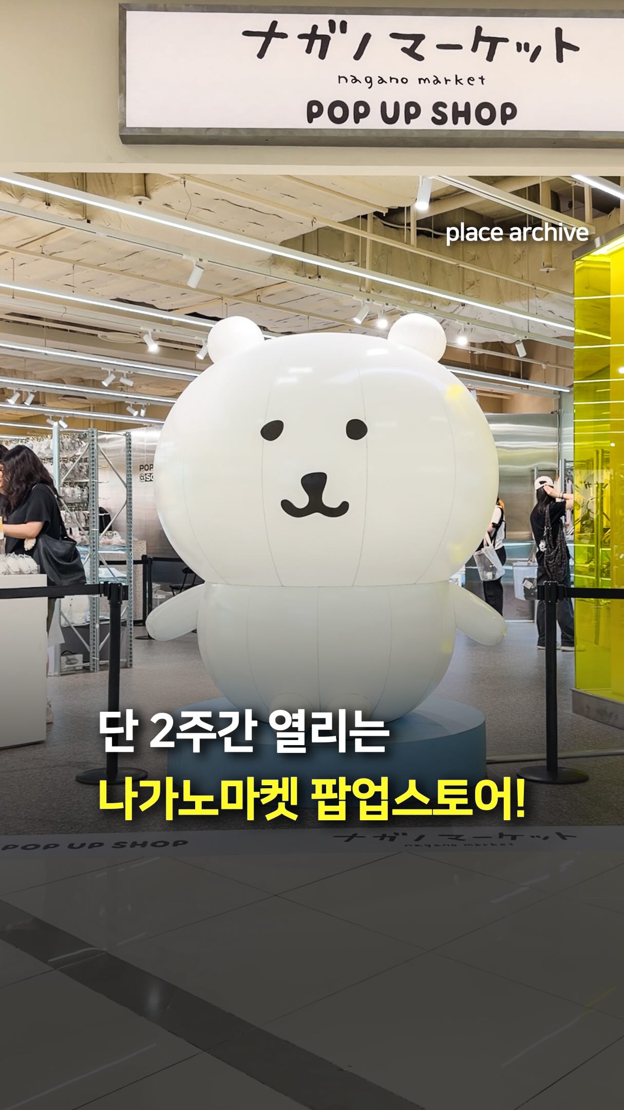 자몽망고코코넛 케이크