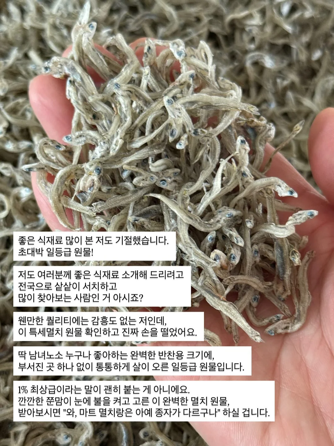 회전형 원형 트레이 11