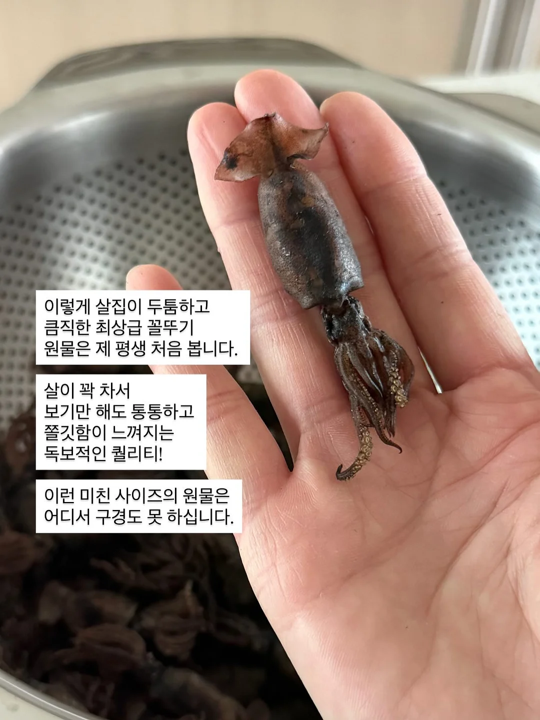 회전형 원형 트레이 3