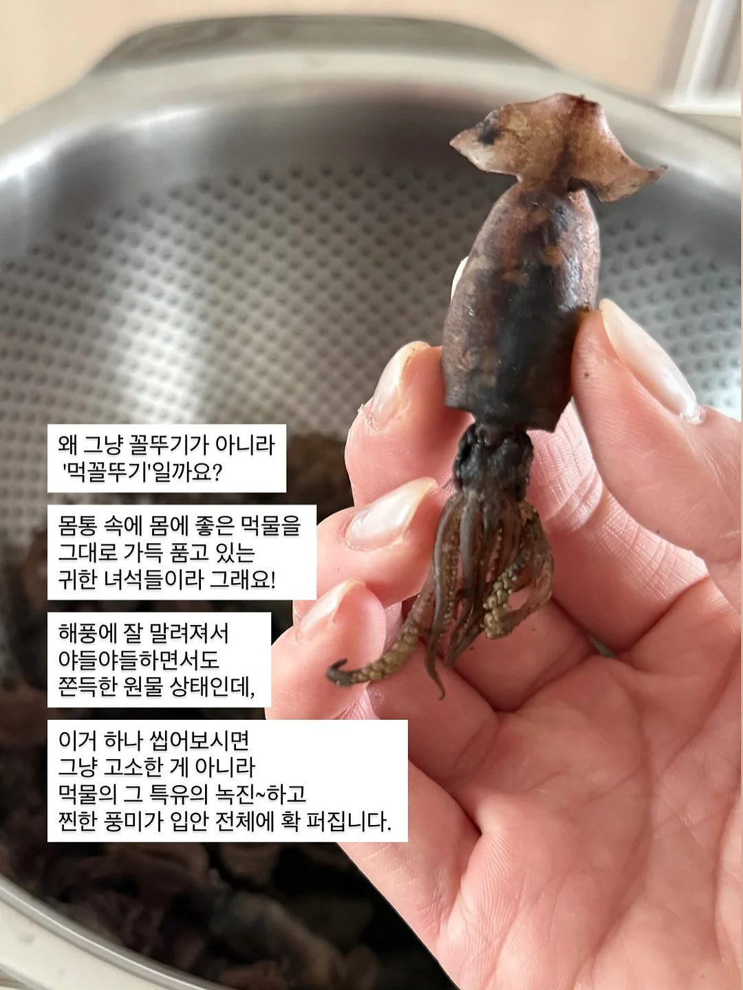 회전형 원형 트레이 4