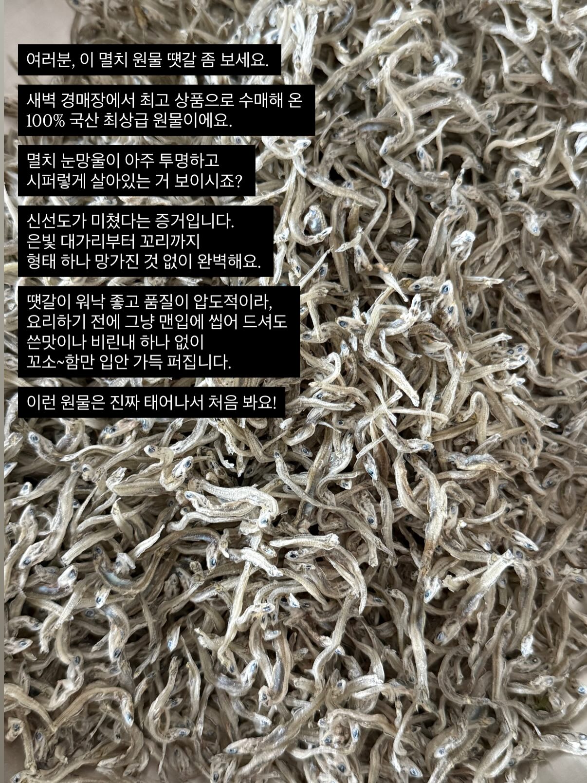 회전형 원형 트레이 10