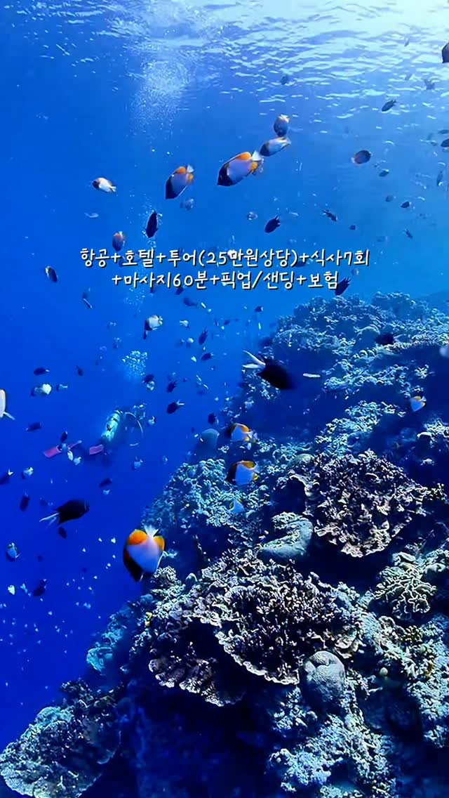 부이오뜨램프 핑크