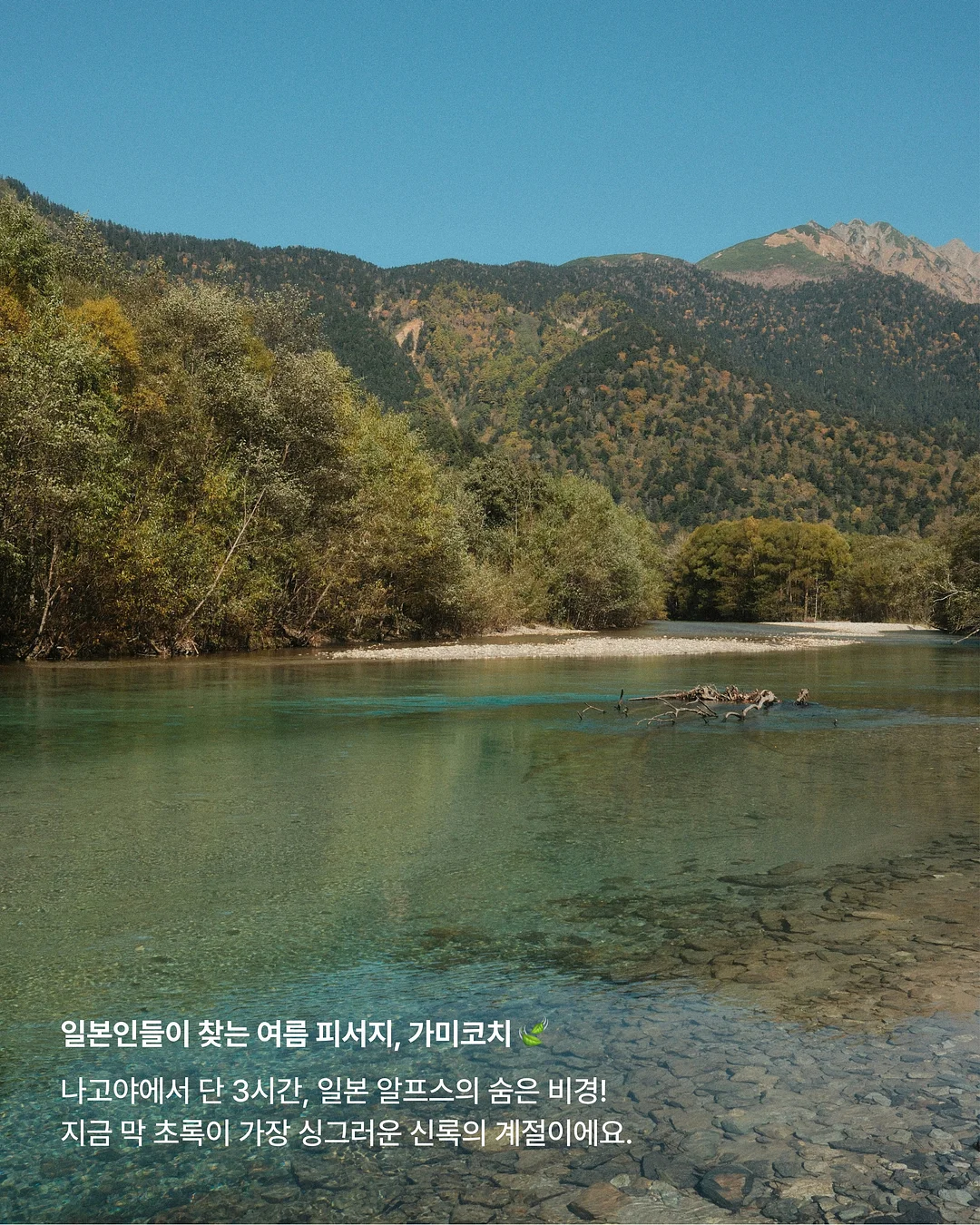 벽면보수제 2