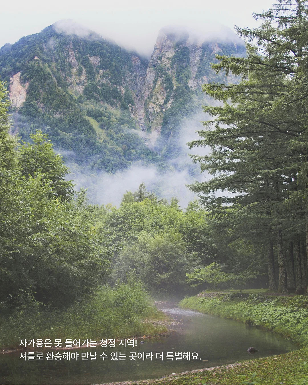 벽면보수제 5