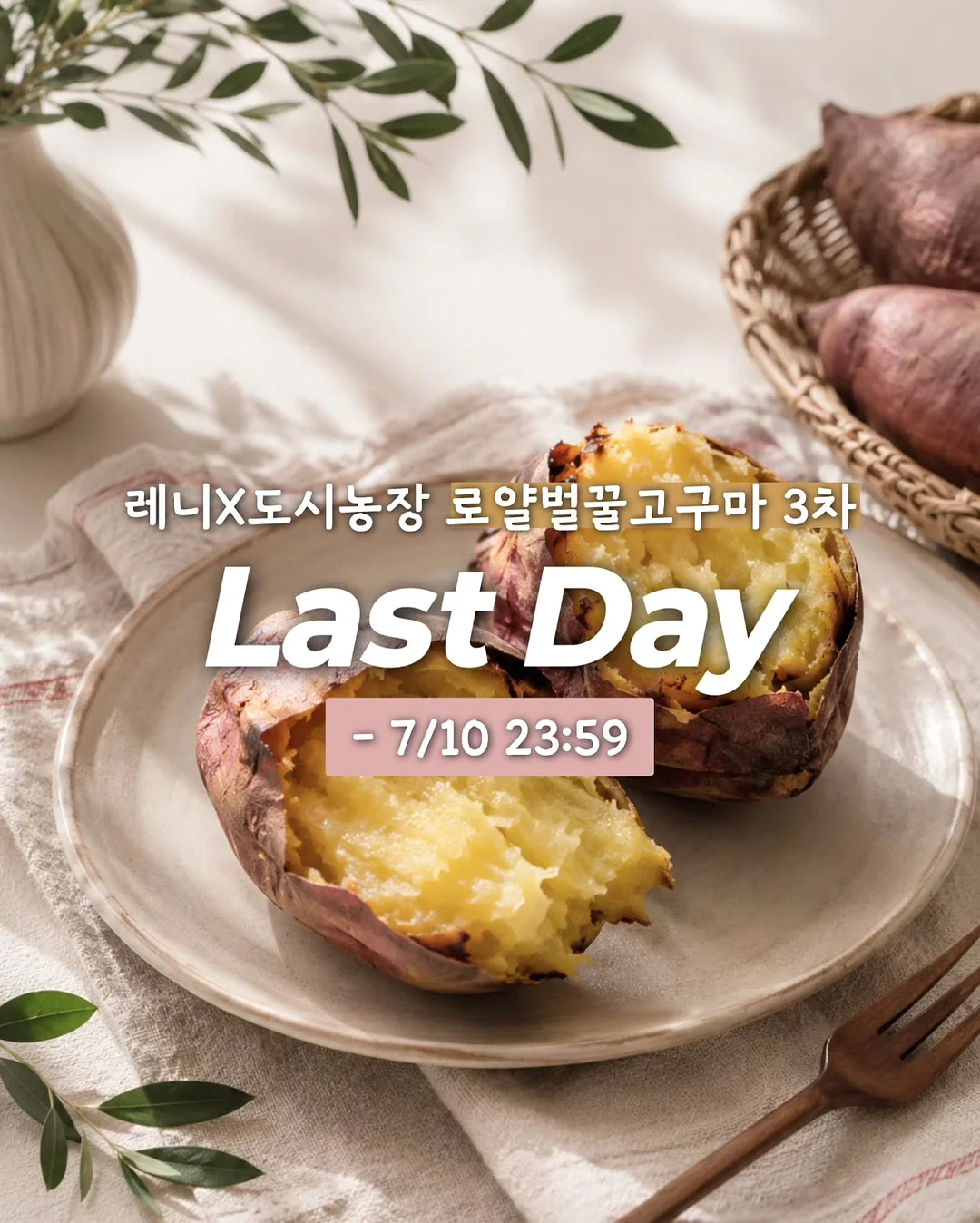 우둔살에 감자 1