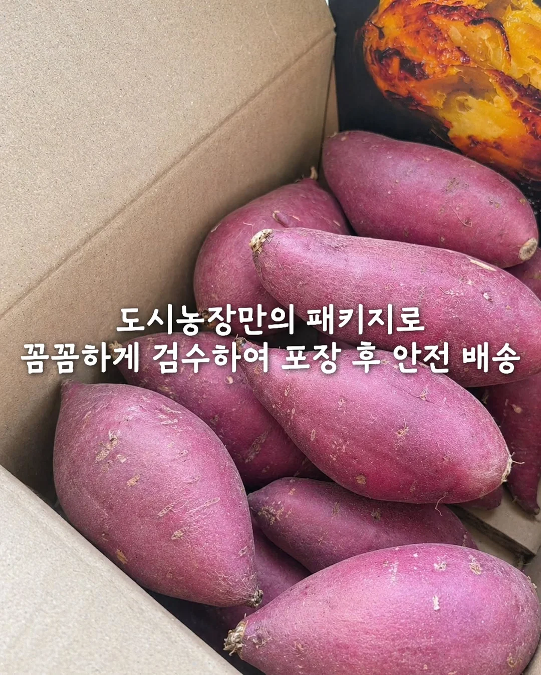 우둔살에 감자 11