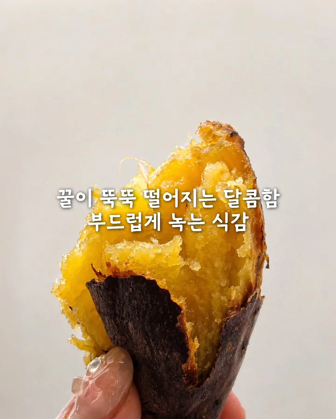 우둔살에 감자 5