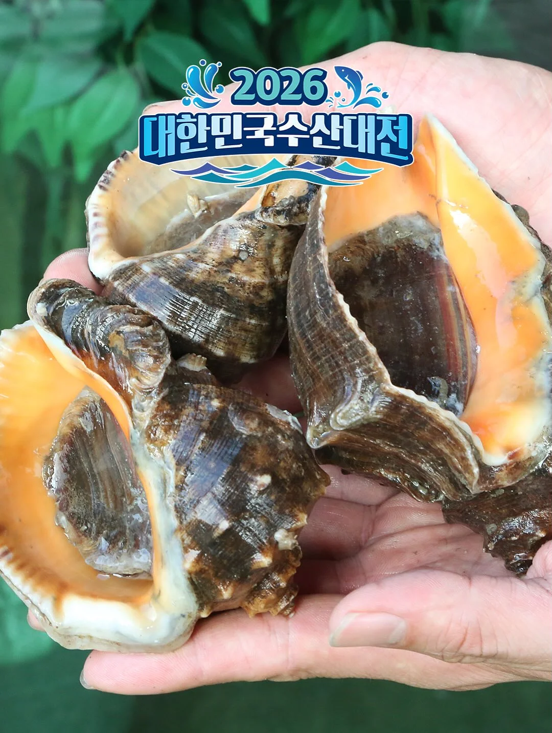 미미유대하로제파스타 7