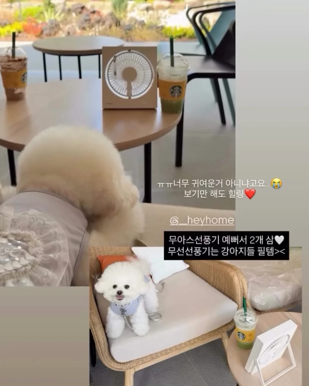 터보 15